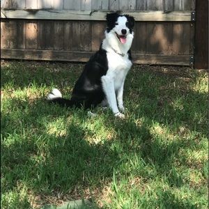 Meet your Posher, Carla